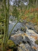 Файл=CIMG8159.JPG
Объём=504KB
Размеры=768x1024
Дата=Дек 01, 2015 CIMG8159.JPG