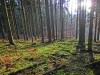 Файл=CIMG8252.JPG
Объём=2607KB
Размеры=2560x1920
Дата=Янв 20, 2016 CIMG8252.JPG