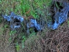 Файл=CIMG8256.JPG
Объём=1814KB
Размеры=2560x1920
Дата=Янв 20, 2016 CIMG8256.JPG