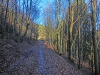 CIMG8283~0.JPG