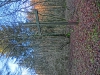 CIMG8287.JPG