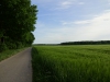 DSC00151.JPG