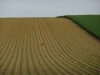 DSC00154.JPG