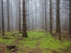 Файл=DSC00178.JPG
Объём=186KB
Размеры=1024x768
Дата=Авг 03, 2016 DSC00178.JPG