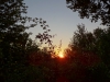 Файл=DSC00268.JPG
Объём=2591KB
Размеры=2592x1944
Дата=Сент 28, 2016 DSC00268.JPG