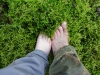Файл=DSC00408.JPG
Объём=3886KB
Размеры=2592x1944
Дата=Нояб 20, 2016 DSC00408.JPG