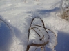 Файл=DSC00641.JPG
Объём=70KB
Размеры=1024x768
Дата=Янв 15, 2018 DSC00641.JPG