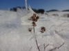Файл=DSC00647.JPG
Объём=57KB
Размеры=1024x768
Дата=Янв 15, 2018 DSC00647.JPG