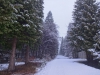 Файл=DSC00729.JPG
Объём=174KB
Размеры=1024x768
Дата=Март 19, 2017 DSC00729.JPG