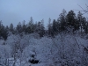 Файл=DSC00731.JPG
Объём=189KB
Размеры=1024x768
Дата=Март 19, 2017 DSC00731.JPG
