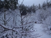 Файл=DSC00732.JPG
Объём=167KB
Размеры=1024x768
Дата=Март 19, 2017 DSC00732.JPG