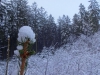 Файл=DSC00734.JPG
Объём=124KB
Размеры=1024x768
Дата=Март 19, 2017 DSC00734.JPG