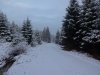 Файл=DSC00742.JPG
Объём=138KB
Размеры=1024x768
Дата=Март 19, 2017 DSC00742.JPG