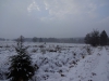 Файл=DSC00745.JPG
Объём=98KB
Размеры=1024x768
Дата=Март 19, 2017 DSC00745.JPG