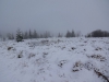 Файл=DSC00748.JPG
Объём=82KB
Размеры=1024x768
Дата=Март 19, 2017 DSC00748.JPG