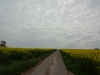 Файл=DSC00831.JPG
Объём=1690KB
Размеры=2592x1944
Дата=Апр 15, 2017 DSC00831.JPG
