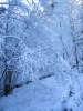 Файл=DSCF6552.JPG
Объём=154KB
Размеры=600x800
Дата=Июль 18, 2010 DSCF6552.JPG
