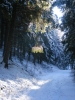 Файл=DSCF6559.JPG
Объём=163KB
Размеры=600x800
Дата=Июль 18, 2010 DSCF6559.JPG