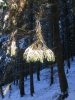 Файл=DSCF6564.JPG
Объём=168KB
Размеры=600x800
Дата=Июль 18, 2010 DSCF6564.JPG