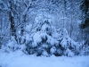 Файл=DSCF6567.JPG
Объём=153KB
Размеры=800x600
Дата=Июль 18, 2010 DSCF6567.JPG