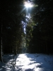Файл=DSCF6621.JPG
Объём=140KB
Размеры=600x800
Дата=Июль 18, 2010 DSCF6621.JPG