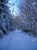 Файл=DSCF6710.JPG
Объём=145KB
Размеры=600x800
Дата=Июль 18, 2010 DSCF6710.JPG