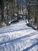 Файл=DSCF6716.JPG
Объём=163KB
Размеры=600x800
Дата=Июль 18, 2010 DSCF6716.JPG