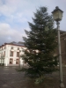 Файл=DSC_0005.JPG
Объём=282KB
Размеры=1224x1632
Дата=Дек 22, 2012 DSC_0005.JPG