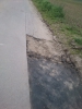 Файл=DSC_0038.JPG
Объём=448KB
Размеры=1224x1632
Дата=Июнь 17, 2013 DSC_0038.JPG
