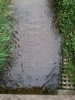Файл=DSC_0043.JPG
Объём=534KB
Размеры=1224x1632
Дата=Июнь 17, 2013 DSC_0043.JPG