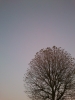 Файл=DSC_0055.JPG
Объём=1004KB
Размеры=1944x2592
Дата=Нояб 21, 2012 DSC_0055.JPG