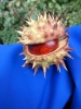Файл=DSC_0138.JPG
Объём=808KB
Размеры=1944x2592
Дата=Окт 03, 2012 DSC_0138.JPG