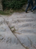DSC_0176.JPG