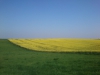 Файл=DSC_0226.JPG
Объём=207KB
Размеры=1632x1224
Дата=Май 05, 2013 DSC_0226.JPG