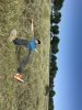 Файл=IMG_0834.JPG
Объём=3322KB
Размеры=3024x4032
Дата=Май 27, 2017 IMG_0834.JPG