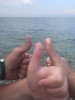 Файл=IMG_4239.JPG
Объём=50KB
Размеры=768x1024
Дата=Авг 27, 2018 IMG_4239.JPG