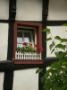 P5290215_(600x800).jpg
