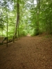 P5290231_(600x800).jpg