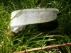 P6050006_(800x600).jpg