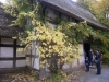 Файл=PA300012_(1024x768).jpg
Объём=214KB
Размеры=1024x768
Дата=Нояб 27, 2011 PA300012_(1024x768).jpg