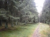 Файл=PB030071_(1024x768).jpg
Объём=175KB
Размеры=1024x768
Дата=Нояб 07, 2012 PB030071_(1024x768).jpg