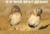 Файл=10_podborka_10.jpg
Объём=23KB
Размеры=401x279
Дата=Авг 24, 2007 10_podborka_10.jpg
