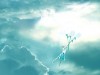 Файл=20070814_ushkoff_wallpapers_ru_vsyo_vidno_1024x768_A(123147).jpg
Объём=270KB
Размеры=1024x768
Дата=Авг 14, 2007 20070814_ushkoff_wallpapers_ru_vsyo_vidno_1024x768_A(123147).jpg