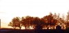 Файл=qq1.jpg
Объём=608KB
Размеры=3072x1506
Дата=Май 19, 2008 qq1.jpg