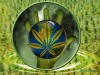 Файл=rastaman-ratsa.jpg
Объём=98KB
Размеры=1024x768
Дата=Авг 26, 2007 rastaman-ratsa.jpg