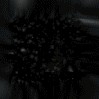 Файл=0041.gif
Объём=44KB
Размеры=110x110
Дата=Май 03, 2007 0041.gif