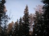 Файл=PICT0081.JPG
Объём=653KB
Размеры=1600x1200
Дата=Фев 15, 2006 PICT0081.JPG