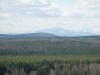 Файл=SNV10771-фг.jpg
Объём=132KB
Размеры=1200x900
Дата=Май 15, 2008 SNV10771-фг.jpg