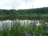 SNV11015.JPG