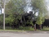 Файл=HPIM9302.jpg
Объём=173KB
Размеры=800x602
Дата=Авг 14, 2008 HPIM9302.jpg